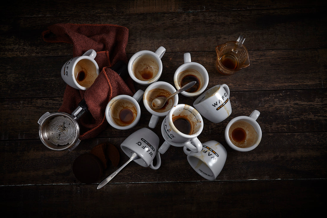 How to Brew with WAFO